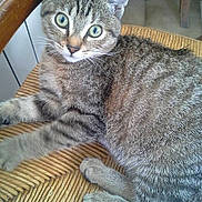 Sacha participe au concours pour gagner de l'argent avec cette photo :