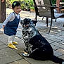 animal, chair, child, denim_overalls, dog, footwear, garden, greenery, happy, outdoor, patio, pavement, pet, plants, playful, shadow, smiling, sunlight, toddler, yellow_socks