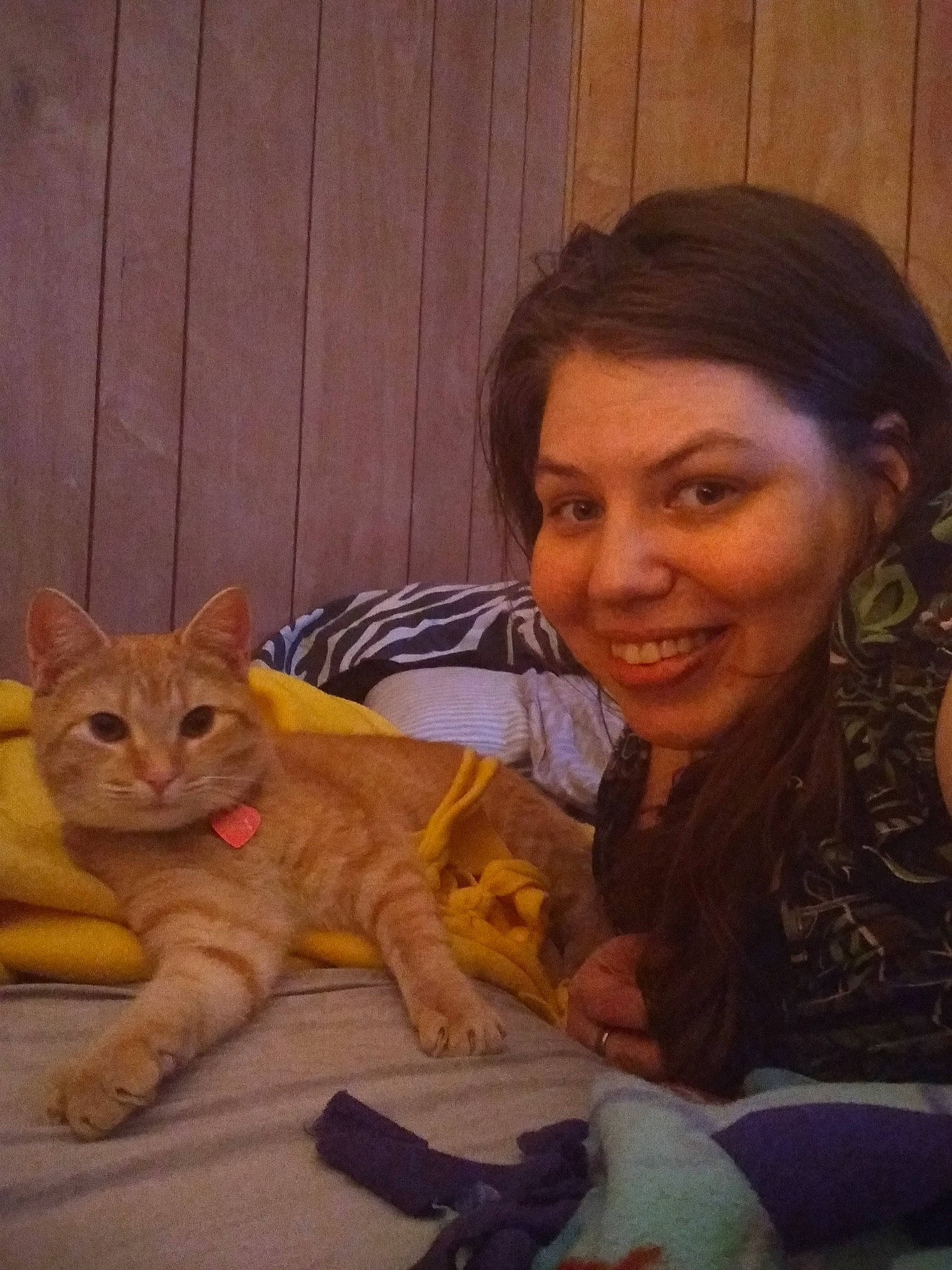 Pumpkin Cinnamon is registered to the contest to win money with this photo: aegean_cat, american_shorthair, arabian_mau, asian, carnivore, cat, chausie, domestic_short_haired_cat, ear, european_shorthair, eye, fawn, felidae, german_rex, joy, kitten, nose, person, skin, small_to_medium_sized_cats