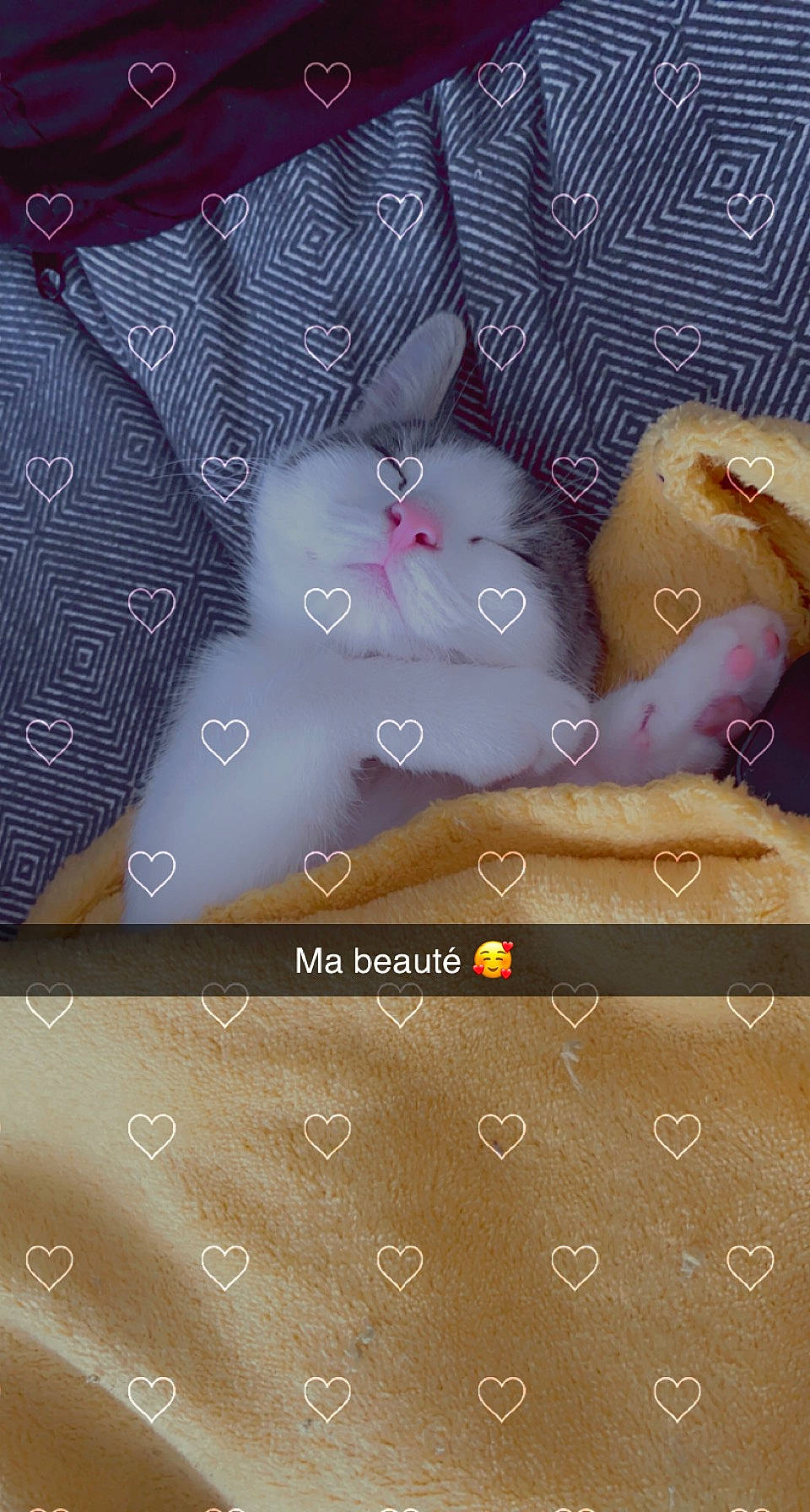 Bouby participe au concours pour gagner de l'argent avec cette photo : art, brown, embellishment, fashion_accessory, font, grey, jewellery, linens, magenta, material_property, pattern, peach, purple, rectangle, screenshot, textile, wood