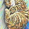 cat, tabby_cat, sleeping, curled_up, fluffy, fur, whiskers, paws, pink_nose, closed_eyes, animal, pet, cozy, resting, colorful, illustration, crayon_art, hand_drawn, portrait, indoors