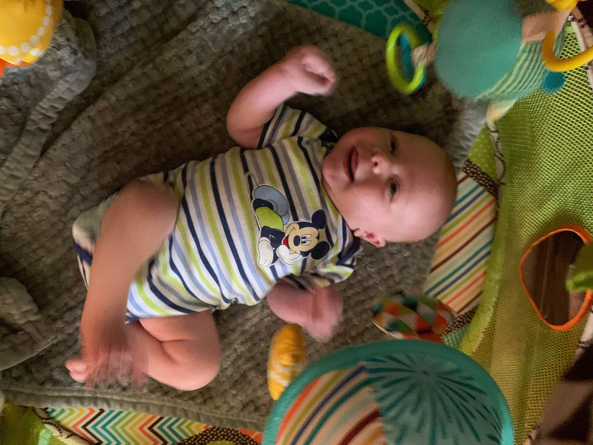 Deacon is registered to the contest to win money with this photo: adaptation, baby, baby_toddler_clothing, brown, cheek, eye, grass, green, human_body, iris, leaf, mammal, orange, organ, person, skin, textile, toddler, tree, vertebrate