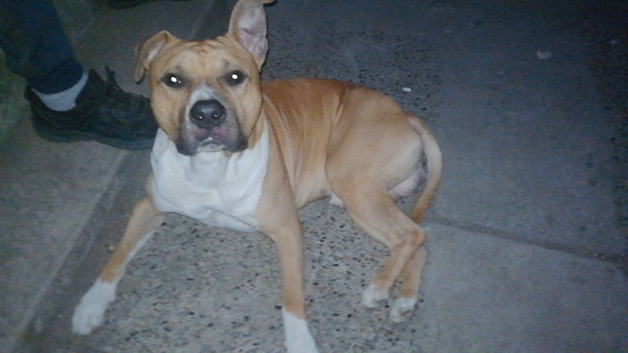 Tyson