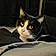 Lucy