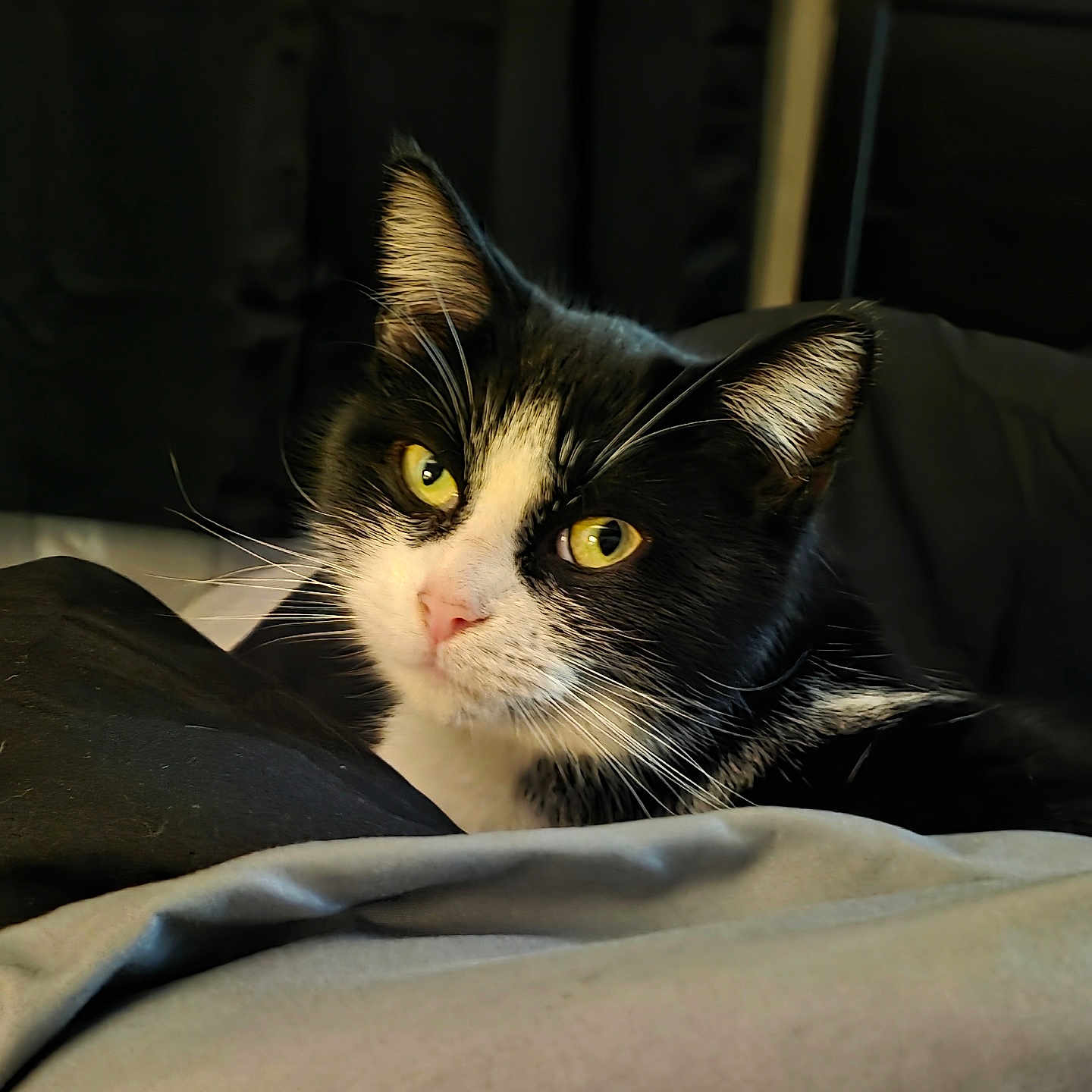 Lucy