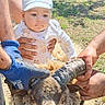 baby, child, sheep, horns, grass, outdoors, people, hands, nature, animal, livestock, sunlight, tree, farm, cute, hat, white_clothing, holding, petting, daytime