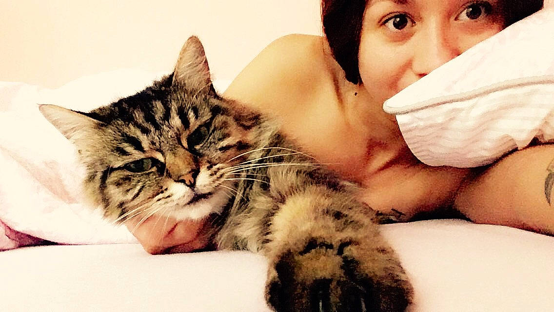 Toona participe au concours pour gagner de l'argent avec cette photo : carnivore, cat, close_up, comfort, ear, eye, eyelash, facial_expression, felidae, finger, fur, gesture, hand, happy, mouth, nose, skin, small_to_medium_sized_cats, snout, whiskers