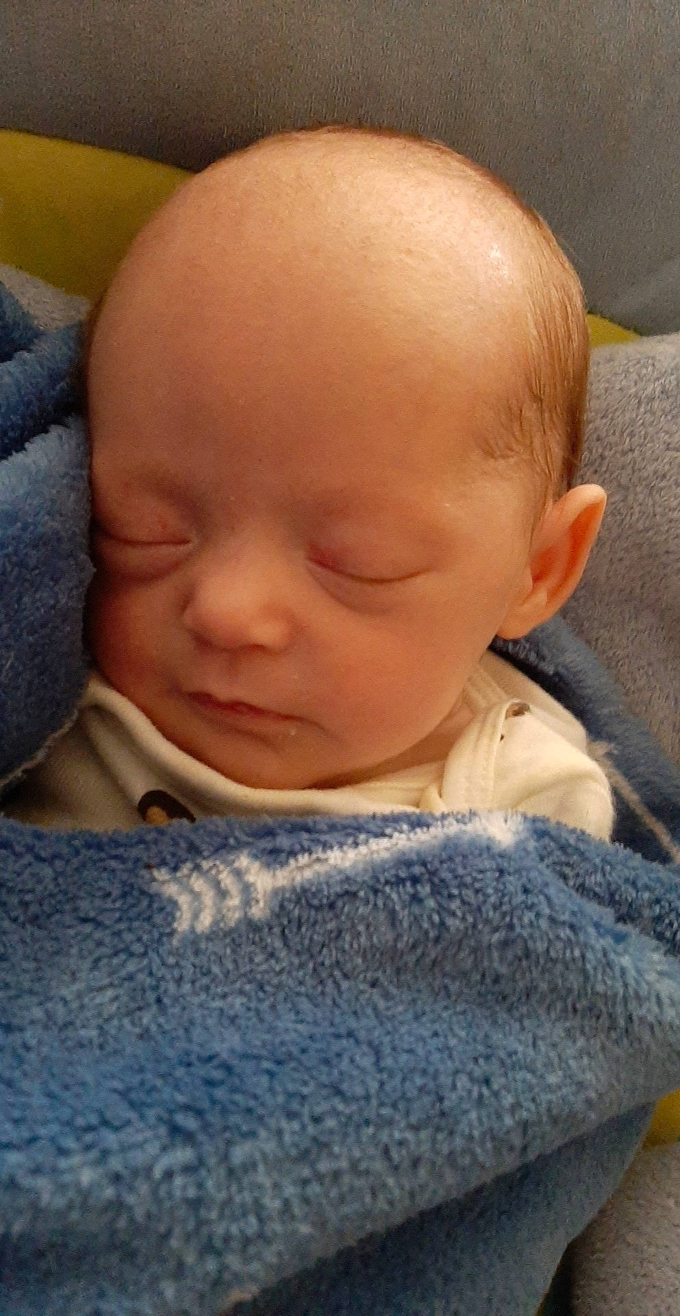 Payton Rose is registered to the contest to win money with this photo: baby, cheek, child, chin, ear, eye, face, forehead, head, lip, mouth, nap, nose, person, skin, sleep, toddler