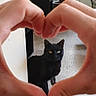animal, black_cat, carpet, cat, floor, furniture, gesture, hands, heart_shape, indoor, love, mobile_screenshot, natural_light, pet, photo, plant, snapchat_interface, text_bubble, window, yellow_icon
