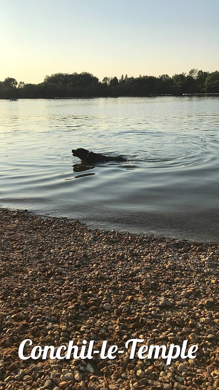 Lisy participe au concours pour gagner de l'argent avec cette photo : bank, beach, body_of_water, calm, coast, coastal_and_oceanic_landforms, horizon, lake, morning, natural_environment, ocean, sand, sea, shore, sky, summer, sunlight, tree, water, water_resources