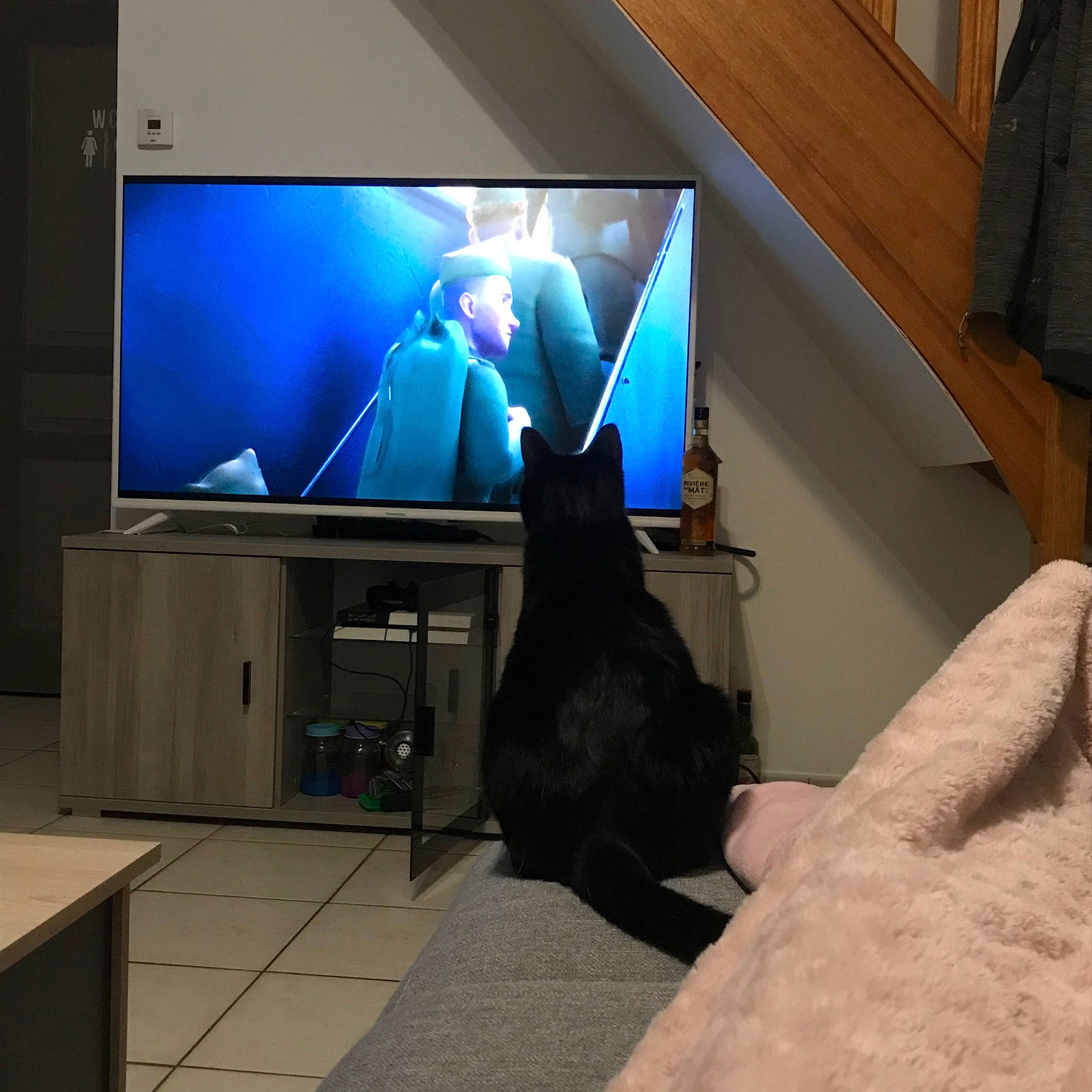 Plume participe au concours pour gagner de l'argent avec cette photo : canidae, computer, display_device, electronic_device, flat_panel_display, floor, flooring, gadget, lcd_tv, led_backlit_lcd_display, media, room, screen, technology, television, television_set