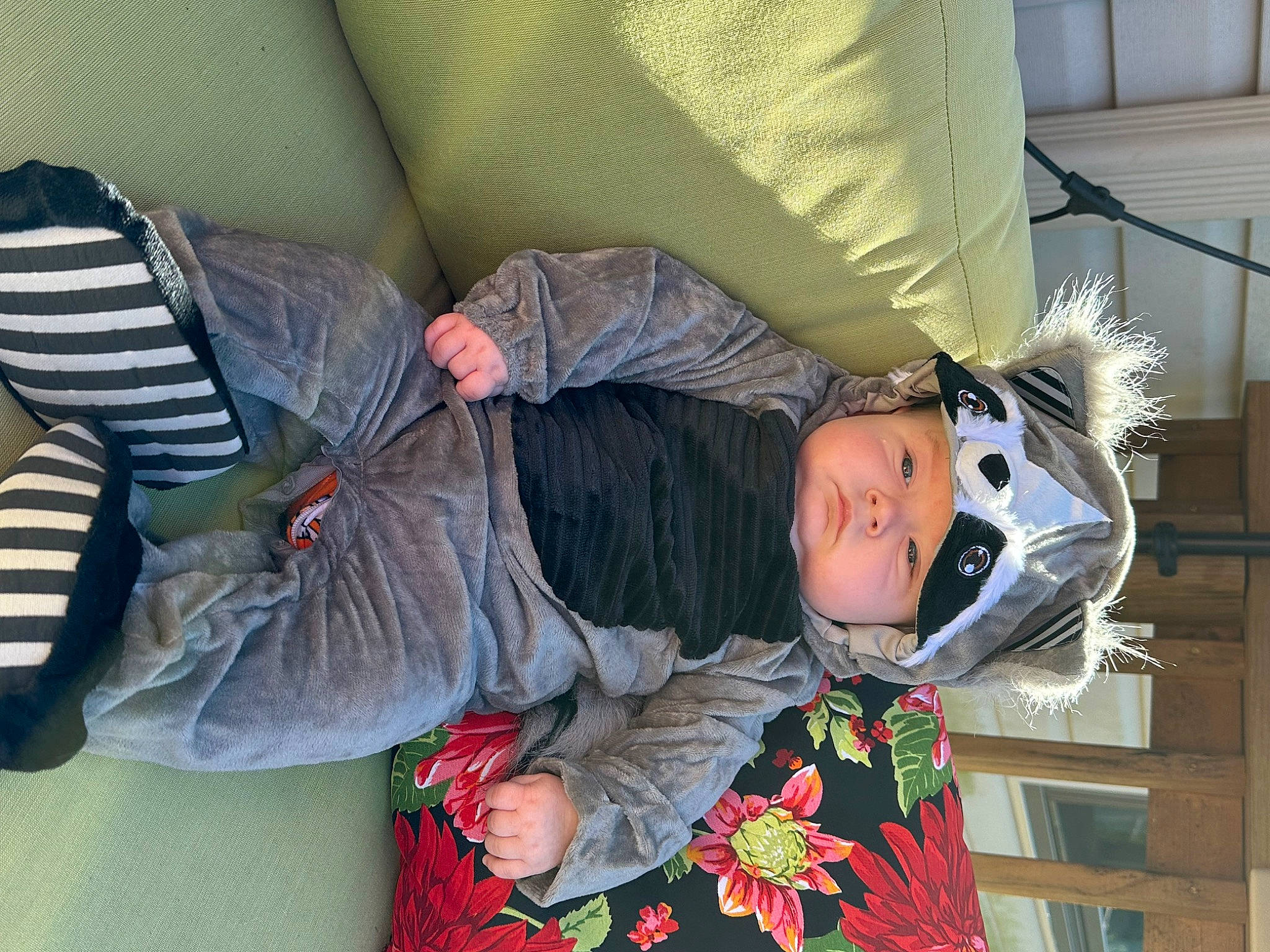 Cole is registered to the contest to win money with this photo: baby_products, child, comfort, event, fun, fur, headwear, human_leg, knee, lap, person, room, sitting, sock, thigh, toddler