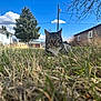 Special. K Junior is registered to the contest to win money with this photo: cat, tabby_cat, grass, outdoor, blue_sky, clouds, tree, house, suburban, nature, animal, pet, mammal, feline, whiskers, ears, daytime, relaxing, staring, ground_level