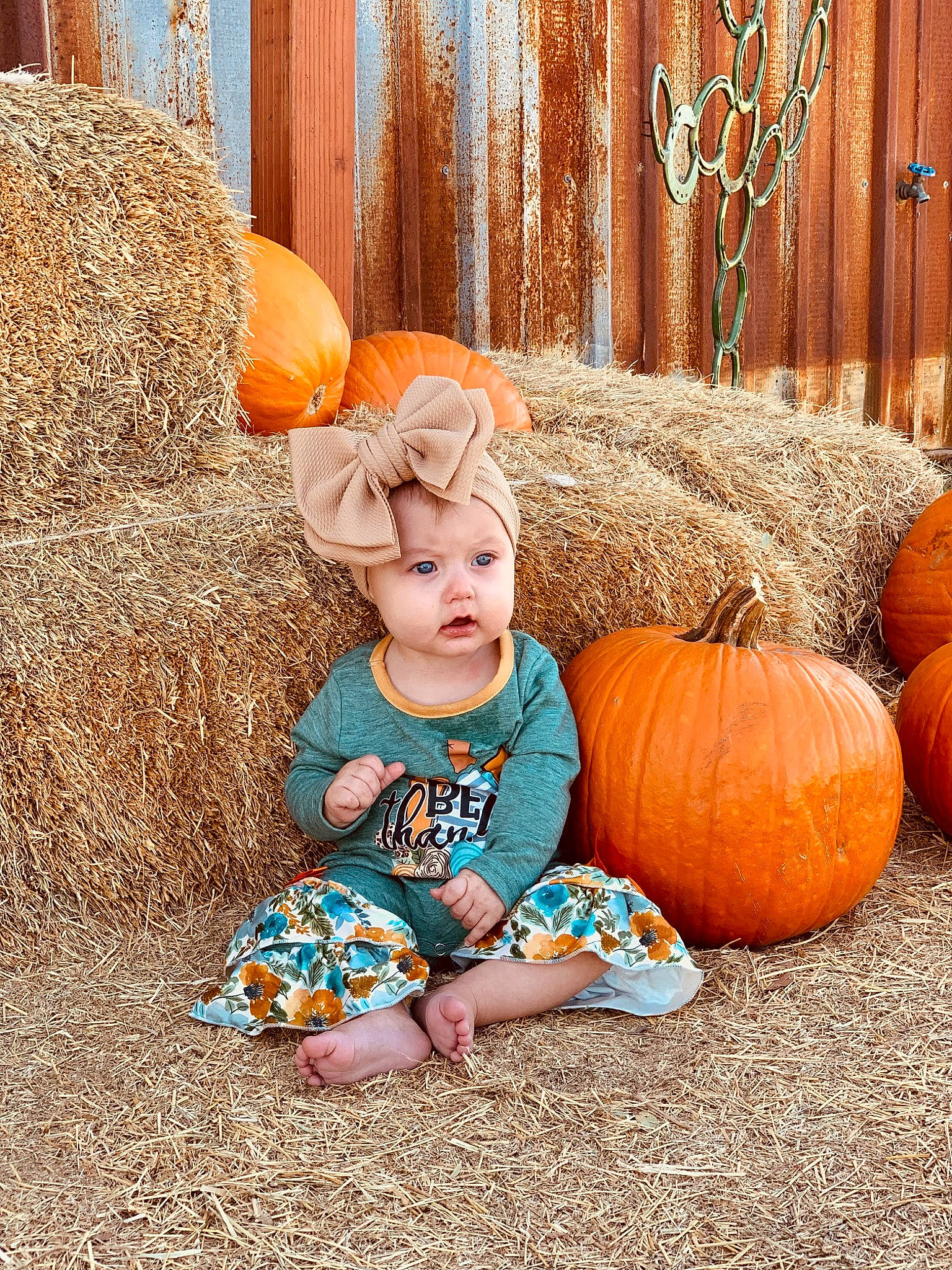 Kaislynn is registered to the contest to win money with this photo: baby, baby_toddler_clothing, calabaza, child, cucurbita, fruit, gourd, grass, happy, headwear, leaf, natural_foods, orange, people_in_nature, person, plant, pumpkin, squash, toddler, vegetable