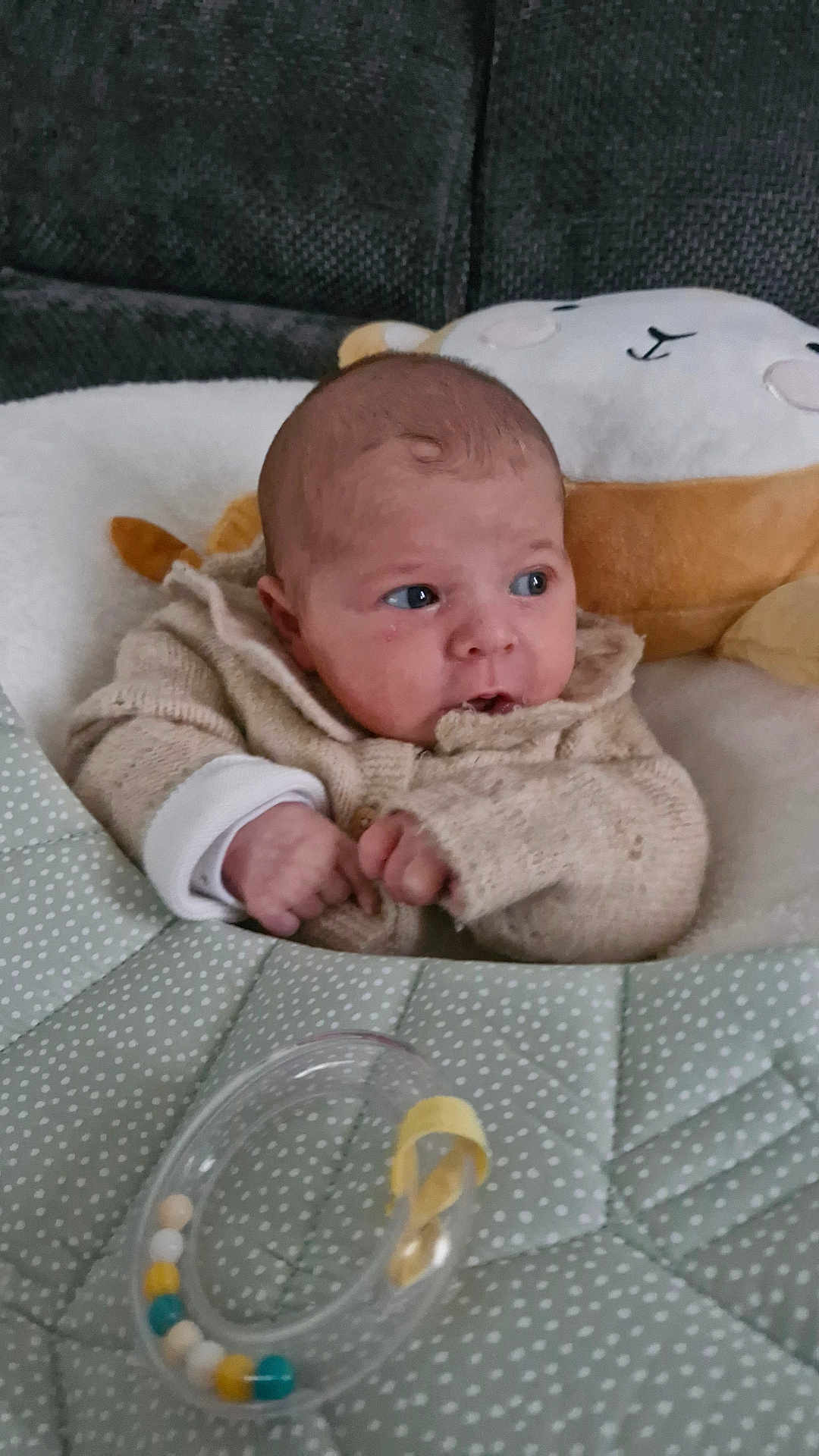 Alva participe au concours pour gagner de l'argent avec cette photo : baby, infant, sweater, plush_toy, cushion, quilt, bead_toy, face, hands, cozy, indoor, child, soft_toys, curious, seated, closeup, cute, expression, blanket, comfort