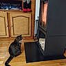 Nenette participe au concours pour gagner de l'argent avec cette photo : cat, tabby, pet, animal, sitting, fireplace, wood_stove, indoors, home, living_room, wooden_floor, cabinet, furniture, fire, hearth, cozy, striped_fur, tail, profile, photography