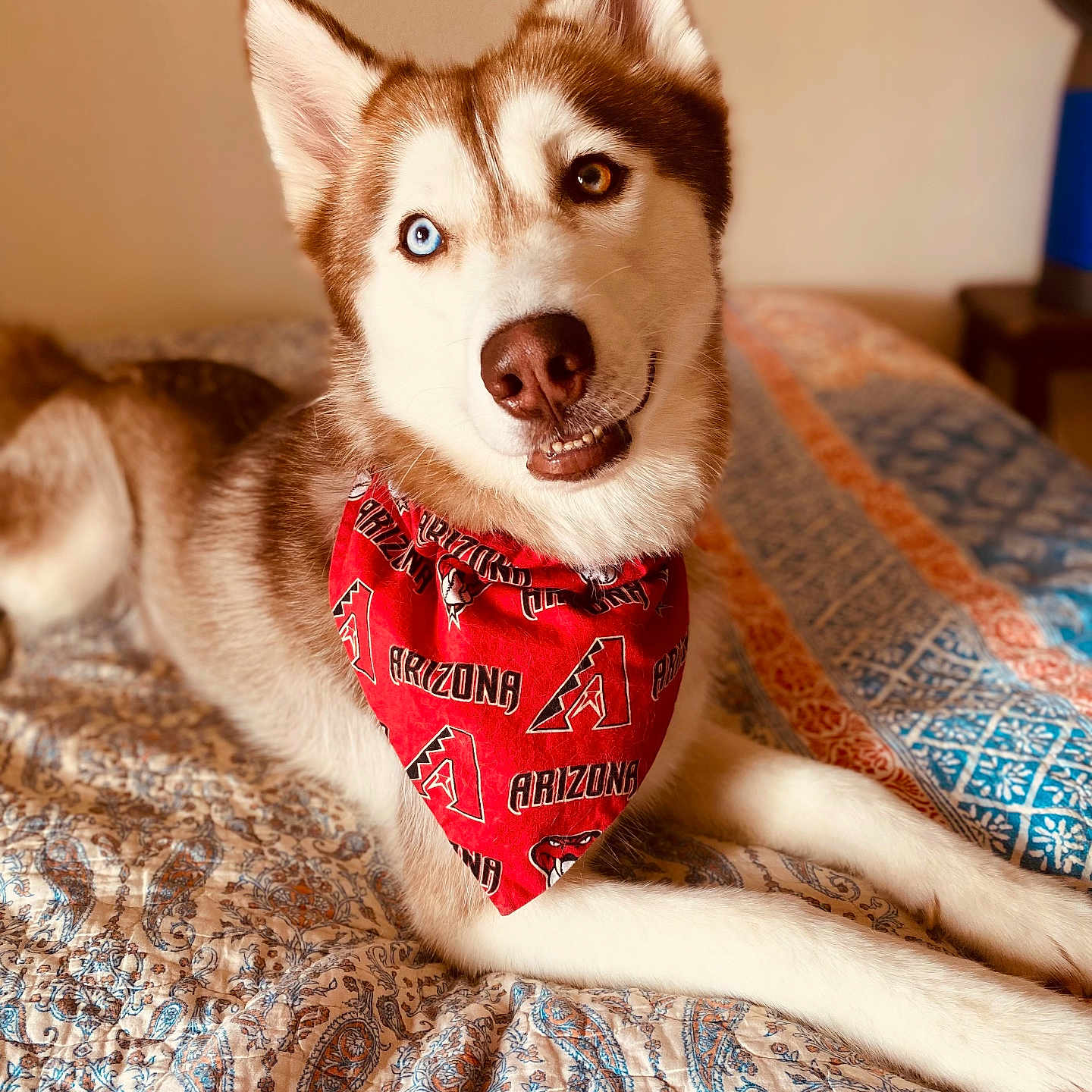 Dexter