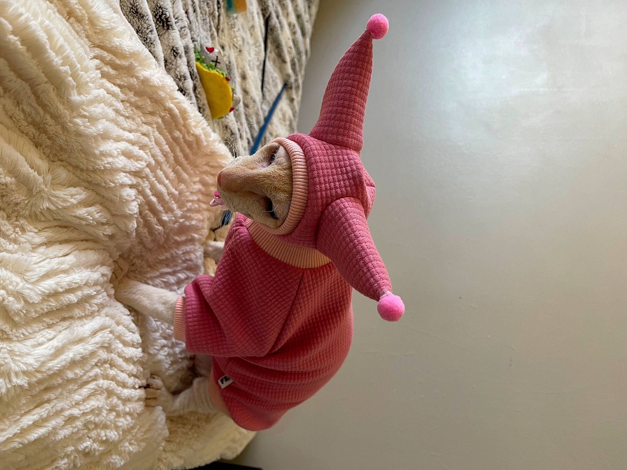 Mojito is registered to the contest to win money with this photo: art, cap, craft, crochet, fashion_accessory, fawn, fur, hat, linens, magenta, mammal, pattern, plush, stuffed_toy, teddy_bear, toy, vertebrate, wood, wool, woolen