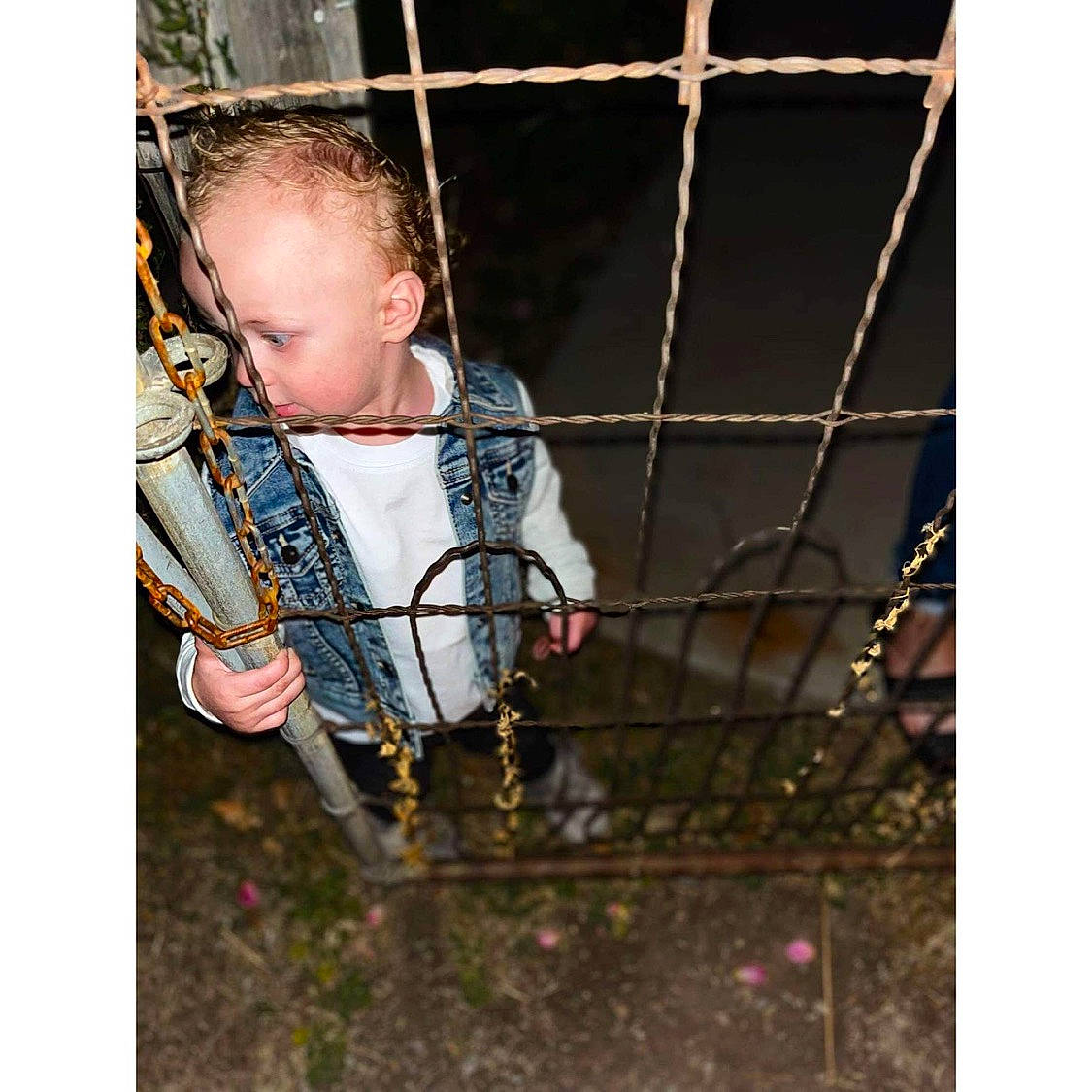 Zedekiah is registered to the contest to win money with this photo: baby, child, city, flash_photography, fun, grass, happy, leisure, mesh, outdoor_play_equipment, pattern, people_in_nature, person, plant, playground, recreation, sitting, swing, tints_and_shades, toddler