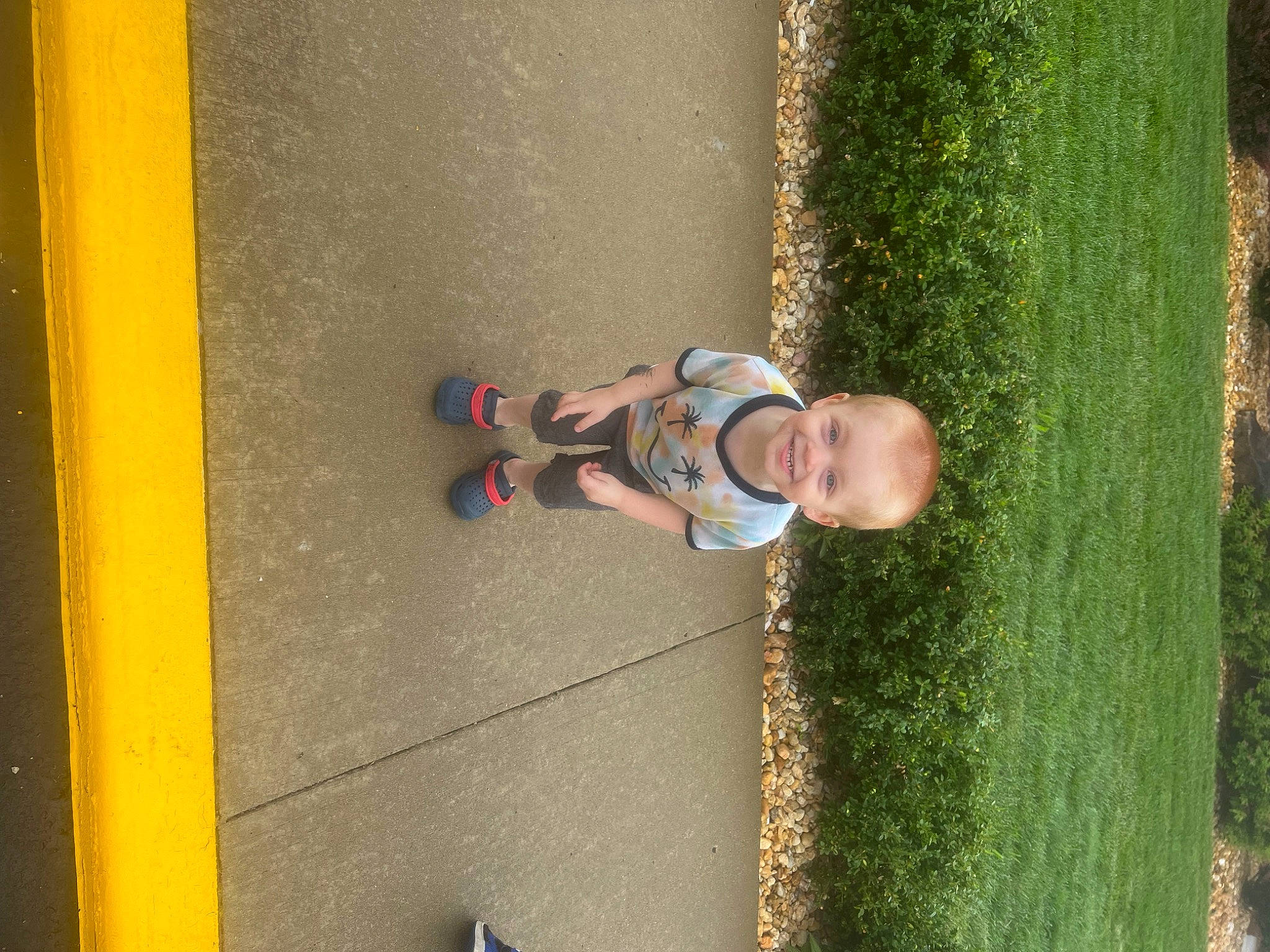 Pierce joined the competition — help win amazing prizes! child, concrete, flooring, fun, grass, joy, landscape, leisure, people_in_nature, person, plant, recreation, shadow, shrub, sidewalk, smile, sunglasses, toddler, tree, wall