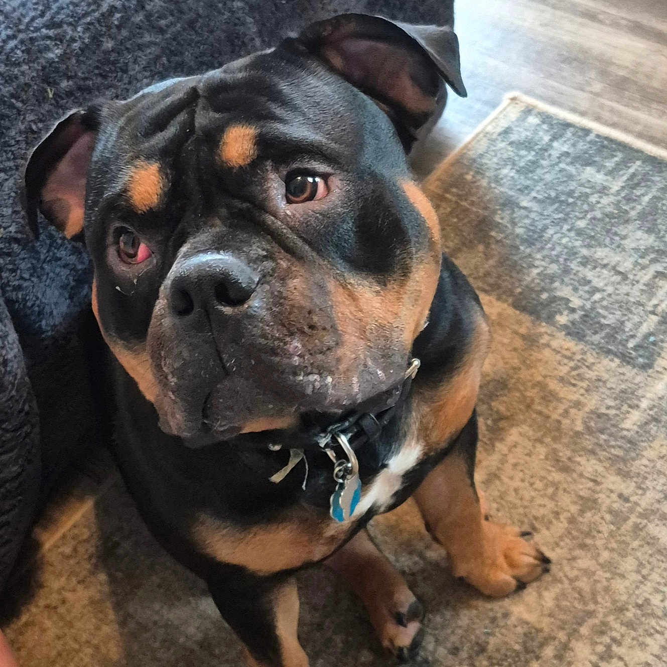Max