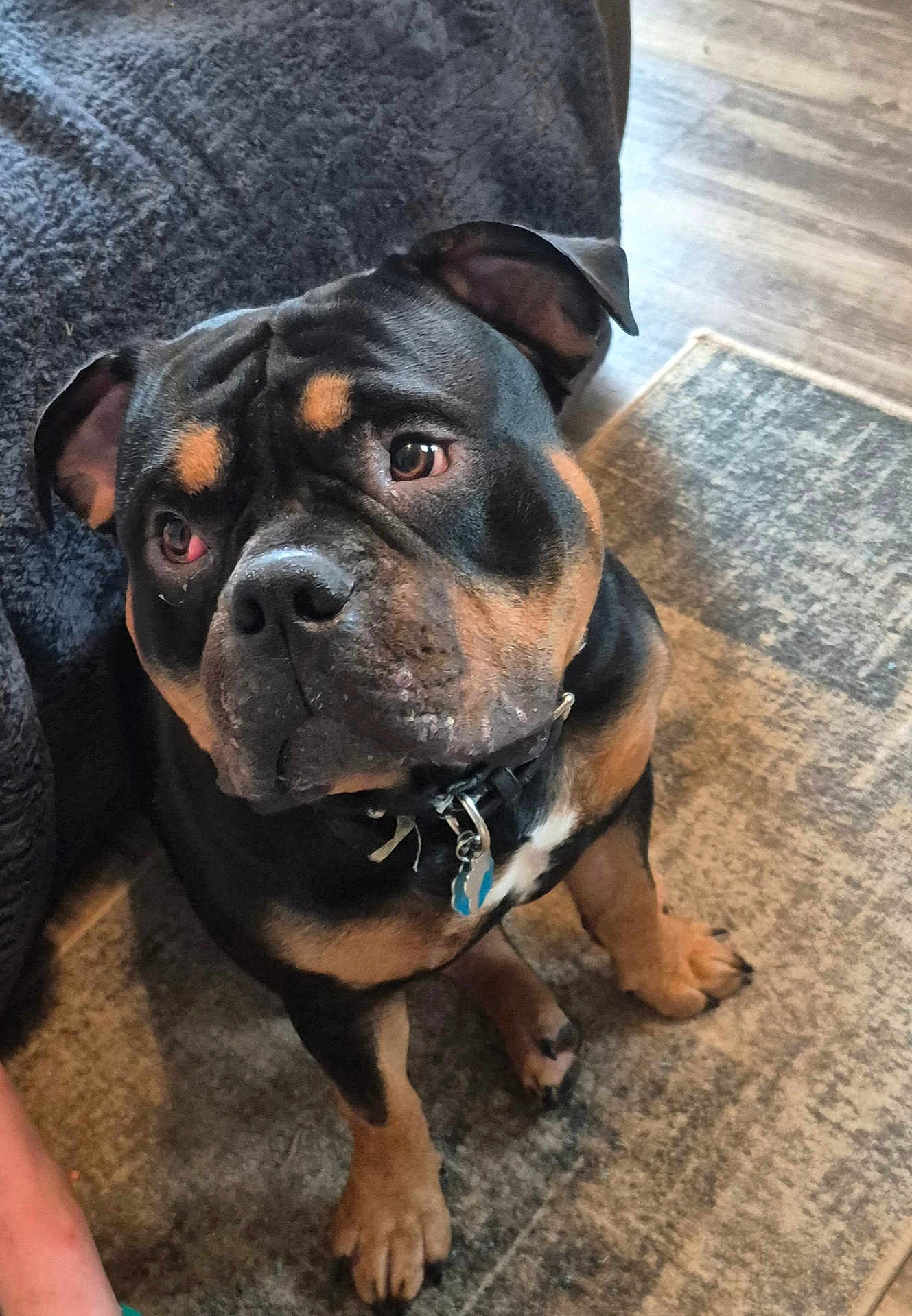 Max