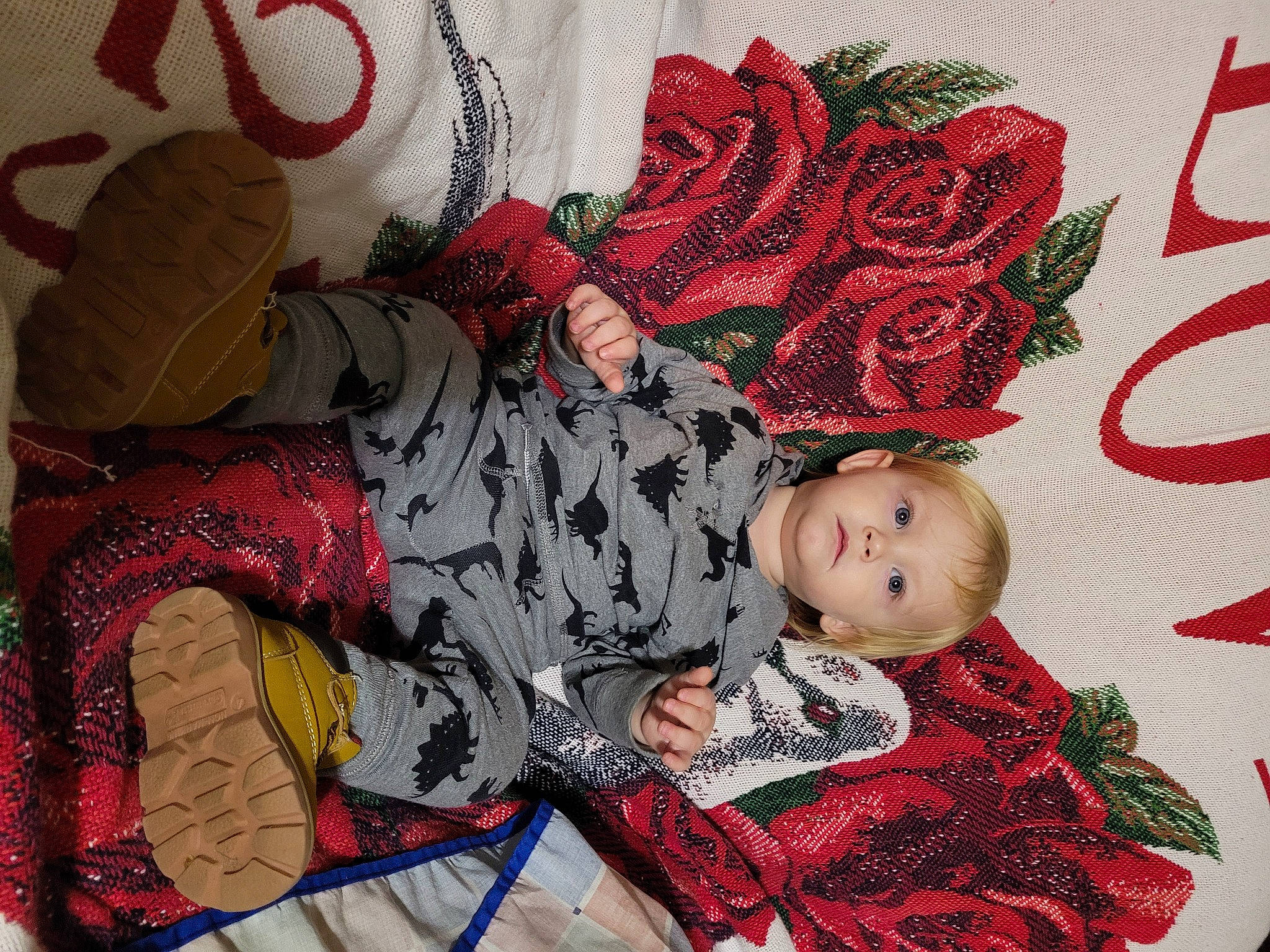 Nathaniel joined the competition — help win amazing prizes! artificial_flower, baby, baby_toddler_clothing, carmine, child, cut_flowers, fashion_accessory, flower, font, hybrid_tea_rose, linens, magenta, pattern, person, petal, pink, red, rose, sleeve, textile