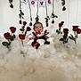 Waylon is registered to the contest to win money with this photo: baby, bow_tie, child, closeup, cute_outfit, face, festive_decor, fluffy_clouds, hands, hanging_roses, infant, love_banner, plush_prop, portrait, red_roses, sitting, smiling, studio_setup, valentines_theme, white_wall