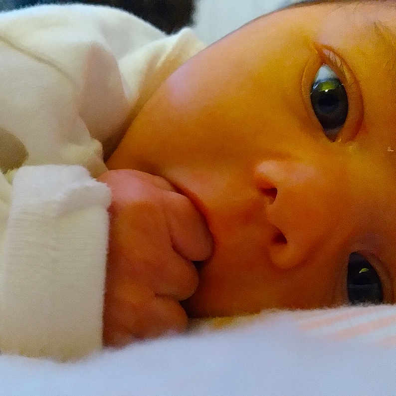 Juniper is registered to the contest to win money with this photo: baby, baby_sleeping, cheek, chin, comfort, ear, eyebrow, eyelash, finger, gesture, hand, head, human_body, iris, lip, mouth, nose, skin, thumb, toddler