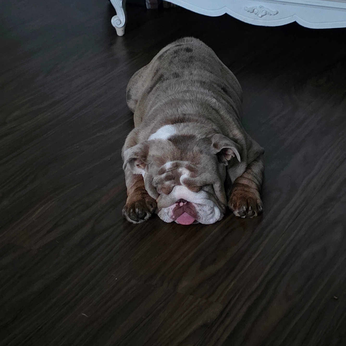 Chubbz