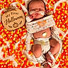 newborn, baby, infant, sleeping, halloween, candy_corn, hospital, medical_tubes, monitoring, pacifier, swaddle, blanket, wooden_sign, pumpkin, portrait, top_down, festive, indoor, face, parenting