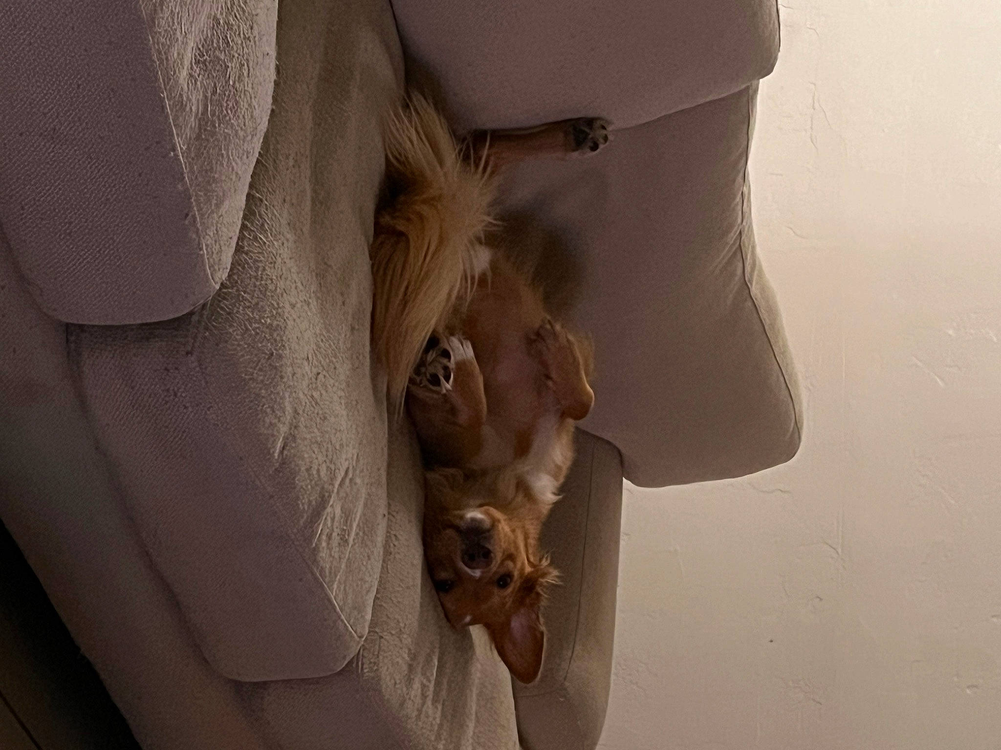 Oakley joined the competition — help win amazing prizes! abdomen, art, chest, comfort, elbow, eyewear, gesture, grey, metal, neck, plaster, room, sculpture, sunglasses, visual_arts, waist, window, wood