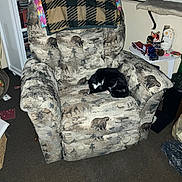 Ri joined the competition — help win amazing prizes! cat, tuxedo_cat, recliner, armchair, blanket, patterned_fabric, bookshelf, toy_truck, cat_tree, blinds, carpet, indoor, sleeping, cozy, living_room, pillow, flash_photo, paw, decor, shelf