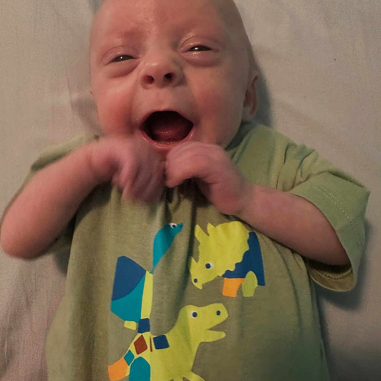Luca James is registered to the contest to win money with this photo: baby, bed, child, closeup, clothing, cute, dinosaur_print, eyes, fabric, face, green_shirt, hands, happy, infant, laughing, lying_down, mouth, skin, smiling, toddler