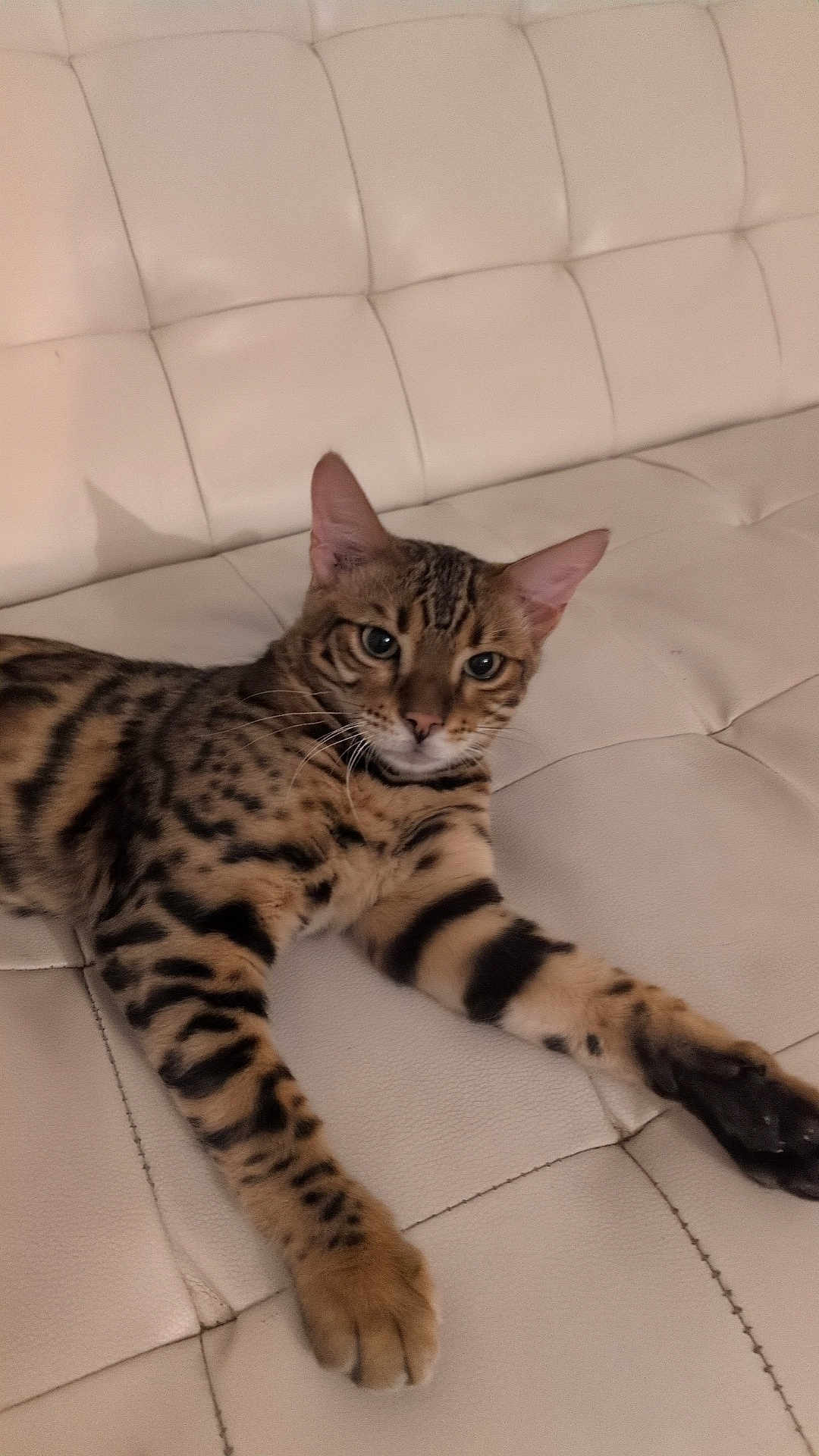 Luky