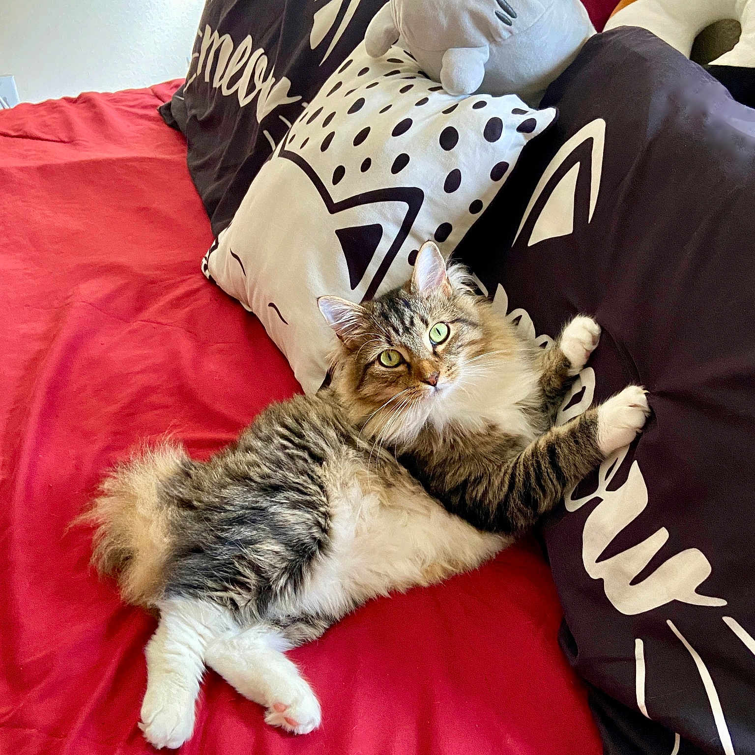 Elliot