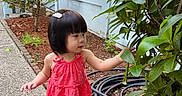 Esther Pham joined the competition — help win amazing prizes! toddler, child, girl, red_dress, pink_shoes, plant, greenery, sidewalk, house, window, hair_clip, outdoor, curious, nature, daylight, young_child, exploring, leaves, garden, hose
