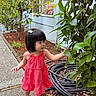 toddler, child, girl, red_dress, pink_shoes, plant, greenery, sidewalk, house, window, hair_clip, outdoor, curious, nature, daylight, young_child, exploring, leaves, garden, hose