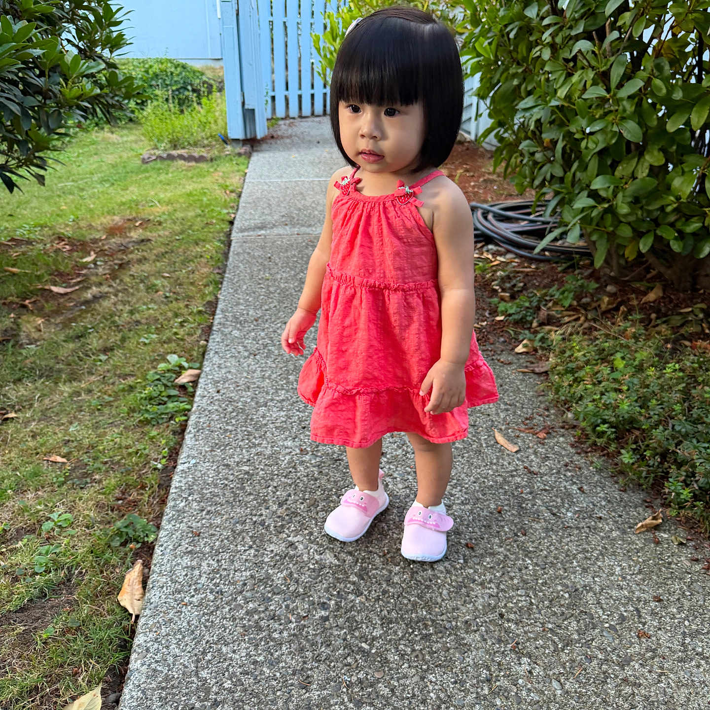 Esther Pham is registered to the contest to win money with this photo: child, toddler, dress, pink_shoes, short_hair, sidewalk, garden, greenery, bushes, fence, outdoor, path, curious, summer, daylight, nature, cute, standing, young, portrait