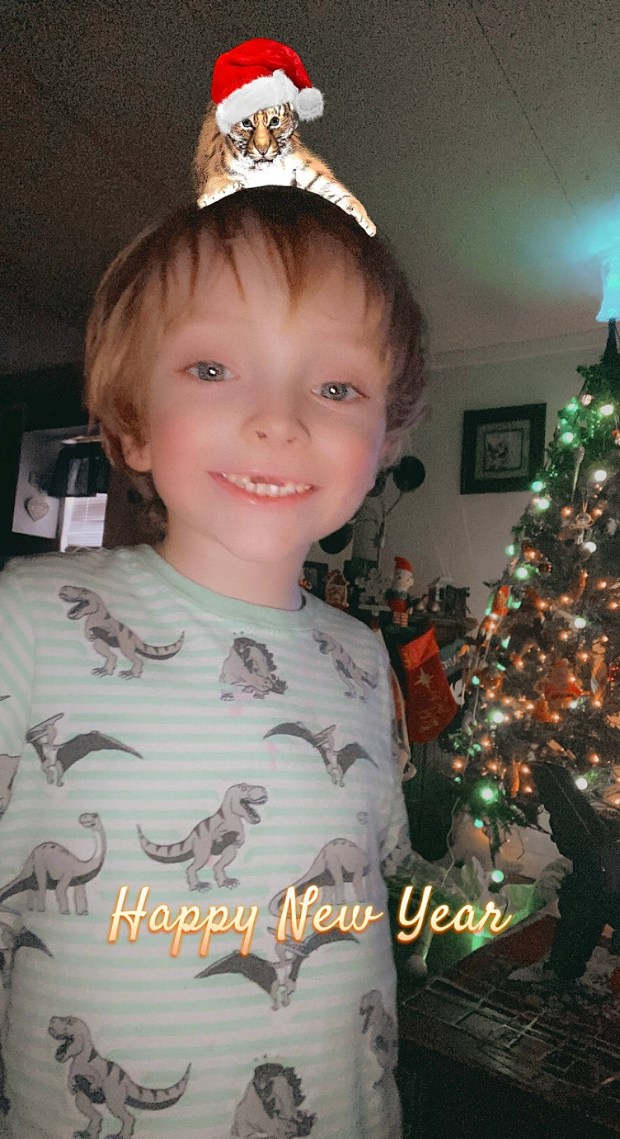 Aiden joined the competition — help win amazing prizes! child, christmas_ornament, christmas_tree, event, facial_expression, fun, hairstyle, happy, head, headpiece, holiday, holiday_ornament, joy, light, lighting, people, person, sleeve, smile, standing