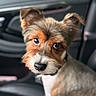dog, pet, animal, car_interior, seat, head_tilt, curious, groomed, ears, fur, closeup, expression, portrait, indoor, domestic_animal, canine, cute, companion, looking, sitting