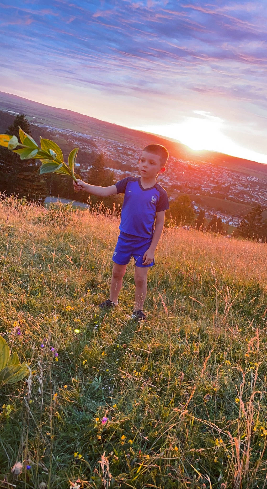 Jules a rejoint le concours — aidez-le/la à gagner de superbes lots ! cloud, ecoregion, flower, grass, grassland, happy, landscape, meadow, mountain, natural_environment, natural_landscape, people_in_nature, person, plant, plant_community, rural_area, sky, sunlight, sunrise, sunset