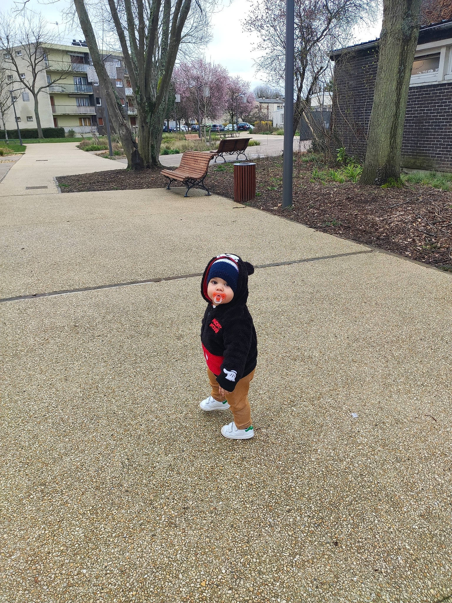 Gabriel participe au concours pour gagner de l'argent avec cette photo : asphalt, car, child, grass, headwear, person, photography, plant, play, recreation, toddler, tree, vacation, walking, winter