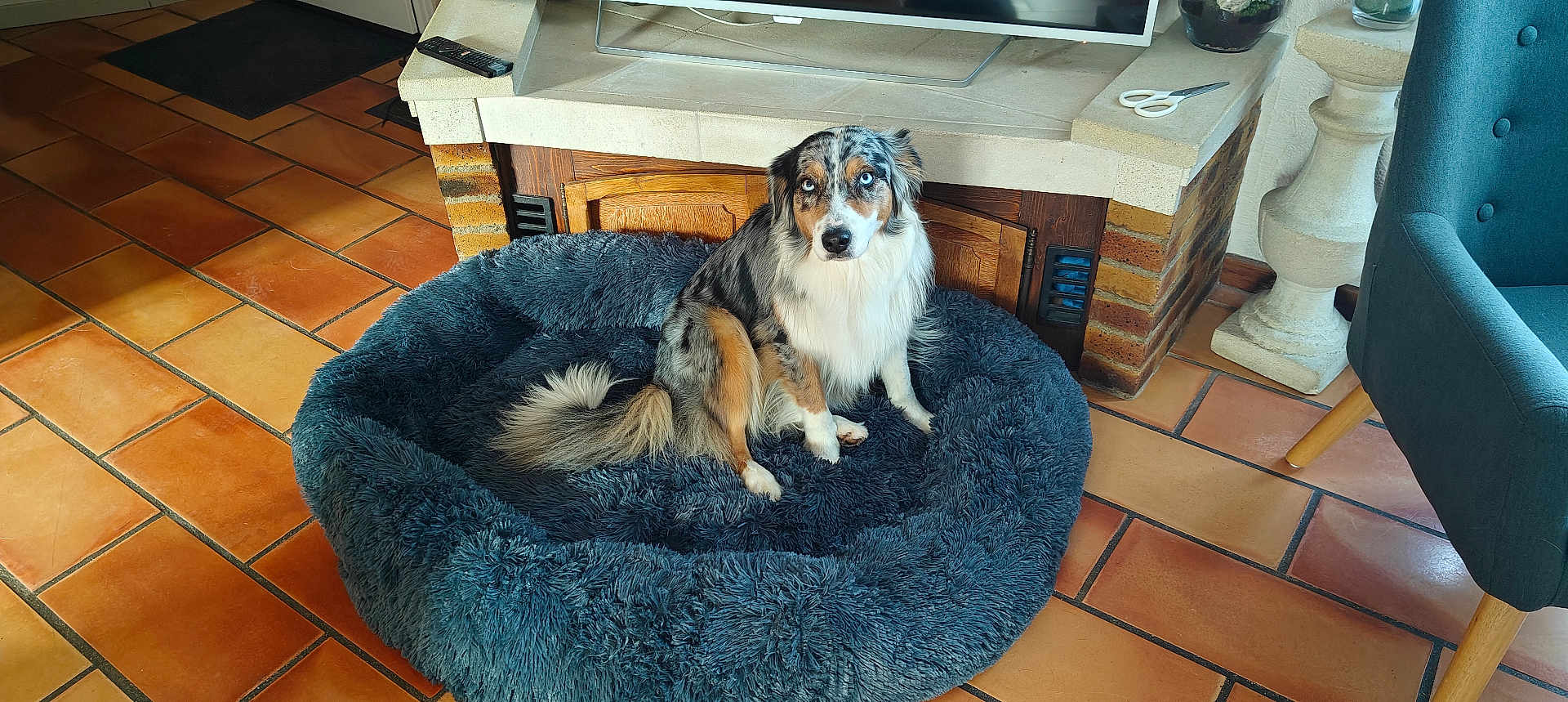 Fibee