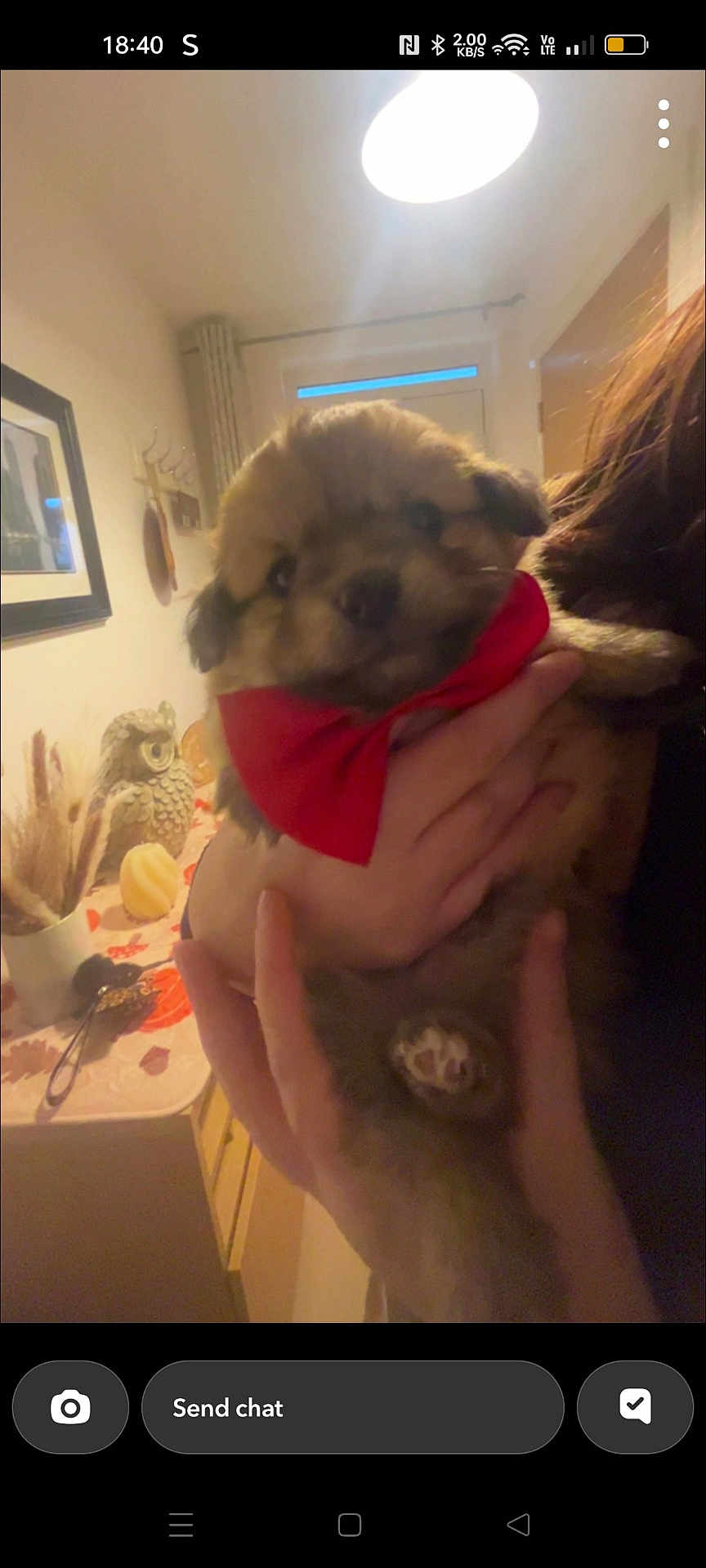 Benji