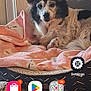 dog, pet, blanket, dog_bed, home, indoor, fur, ears, portrait, cozy, wood_floor, smartphone_screenshot, home_screen, app_icons, notification_badge, settings_icon, play_store_icon, chrome_icon, window, relaxing