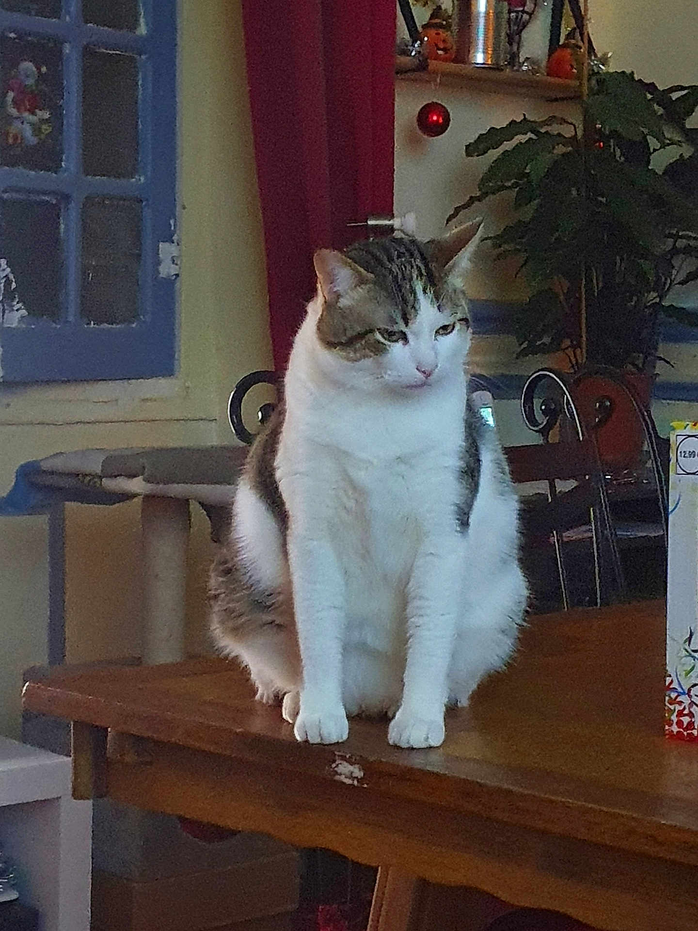Caramel