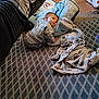 child, baby, toddler, face, pillow, blanket, pajamas, rug, carpet, floor, couch, sofa, living_room, baby_gear, playmat, cozy, curious, lying_down, patterned_rug, plush_blanket