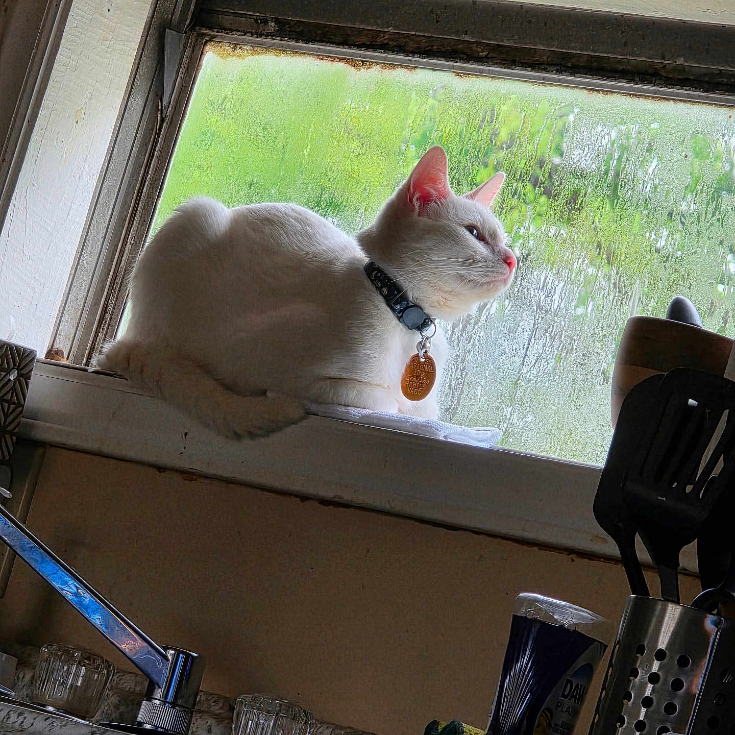 Snowball