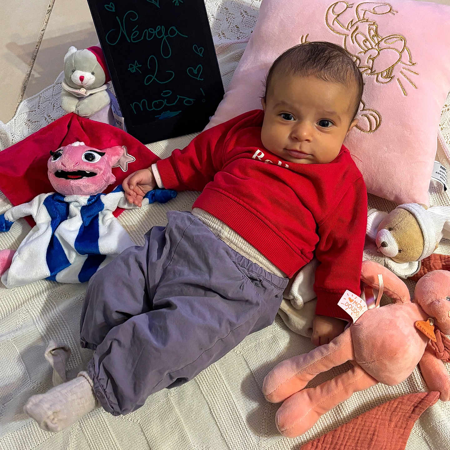 Névya a rejoint le concours — aidez-le/la à gagner de superbes lots ! baby, blackboard, blanket, child, cute, embroidery, floor_tile, indoors, knitted, pillow, plush_toy, portrait, purple_pants, red_clothing, relaxing, smiling, sock, soft_toy, toy, writing